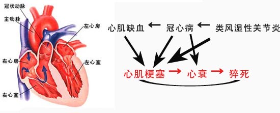 F(yng)(qing)ֱt(y)ԺL(fng)ĲɵĹʺܸ.jpg